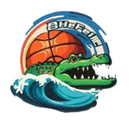 安徽女篮队标,安徽女篮图片