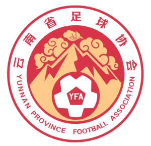云南U20队标,云南U20图片