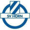 SV霍恩队标,SV霍恩图片