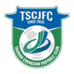 泰安泰山城建队标,泰安泰山城建图片