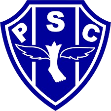 佩桑杜女足队标,佩桑杜女足图片