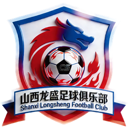 山西龙盛队标,山西龙盛图片